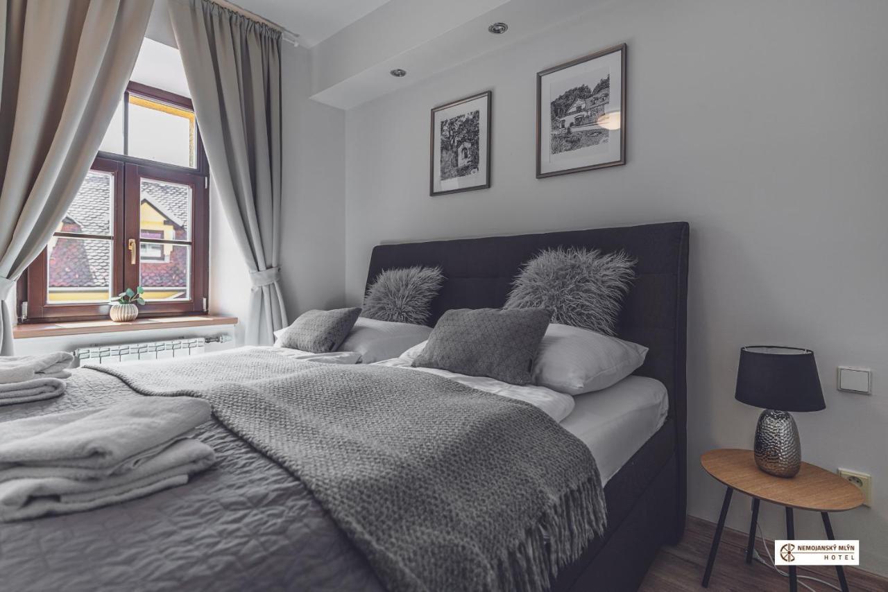 Hotel Nemojansky Mlyn Nemojany Eksteriør billede